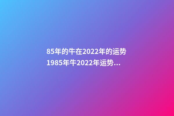 85年的牛在2022年的运势 1985年牛2022年运势如何 财运职场大幅度改善-第1张-观点-玄机派